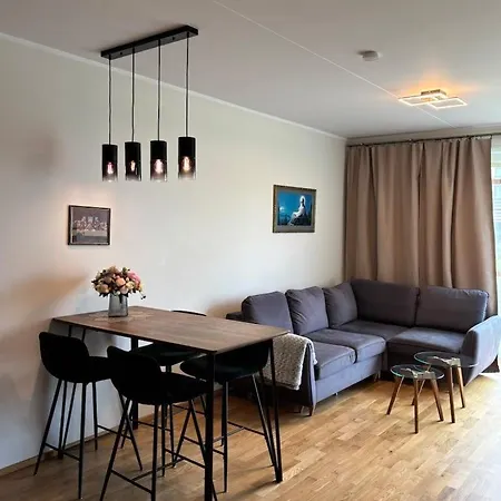 Moisavahe Street With Parking Tartu